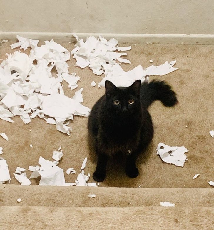 822dbd53e7ad9d0691a68cfe73