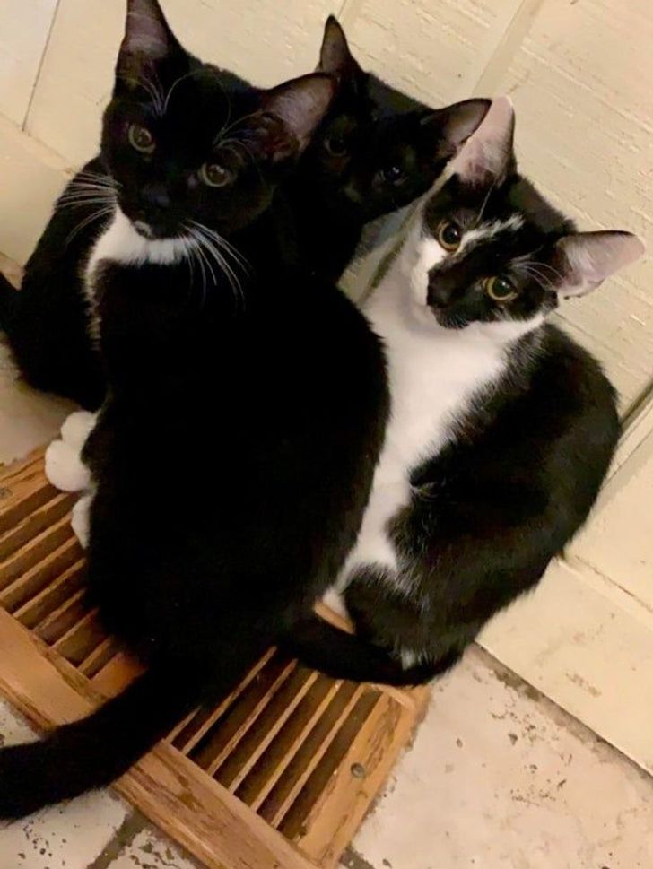 822e295d4f8fb78b6482ddf6d6