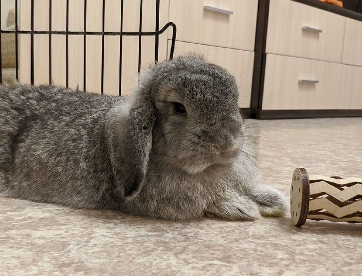 8234535f528cea9886efeba6b8