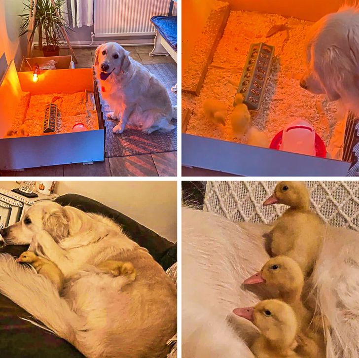 823477516e86593cefec7f808c 823477516e86593cefec7f808c