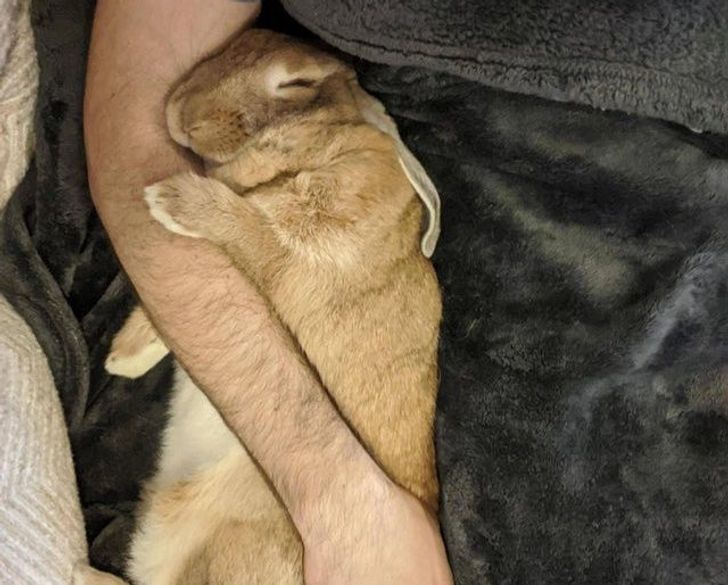 8234d7503196fcf1a923194b15