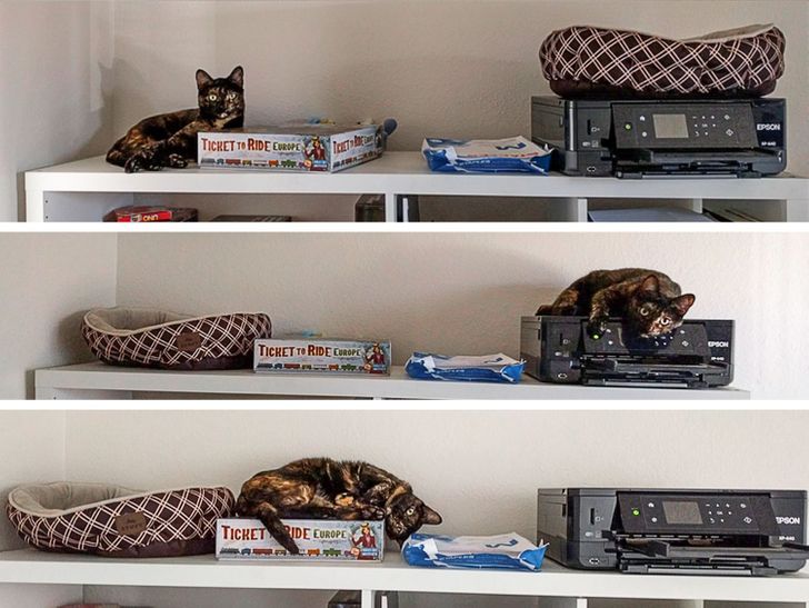 82393a58afa98a4039e2edf2c8