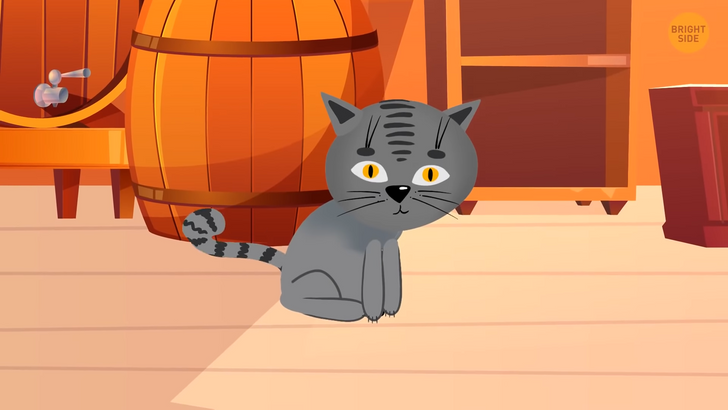 8239895007848a761a0598cad5