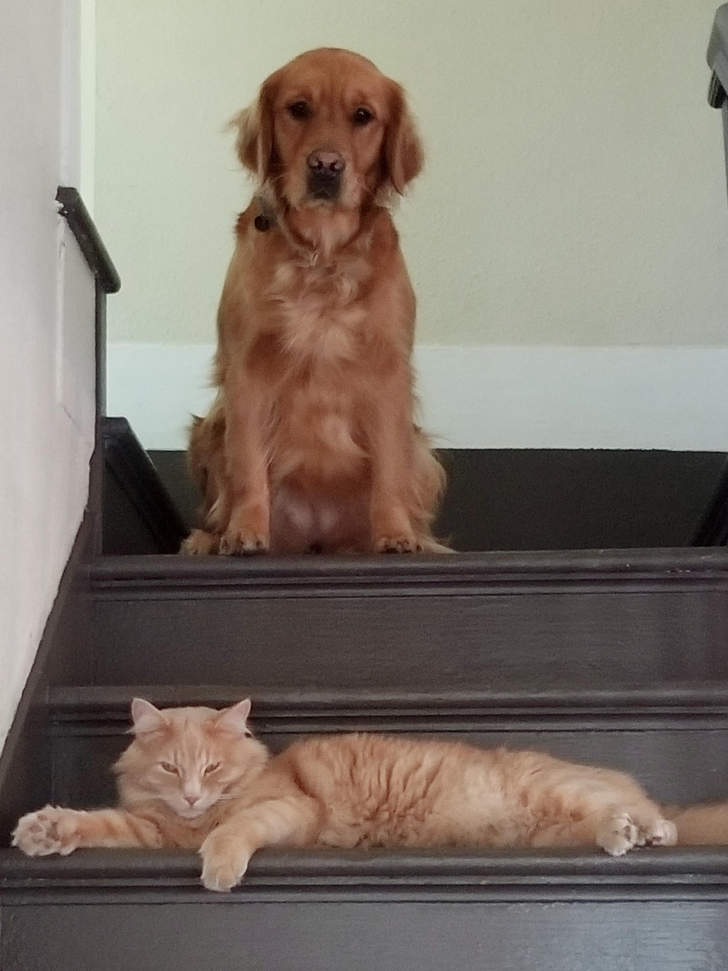 823f58504186a7fdf8008db276