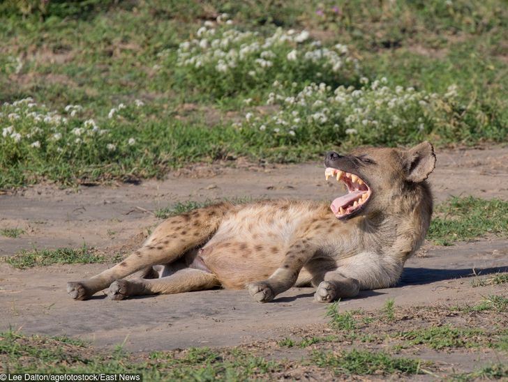 8242c854c0b9a8cd526b4b28de