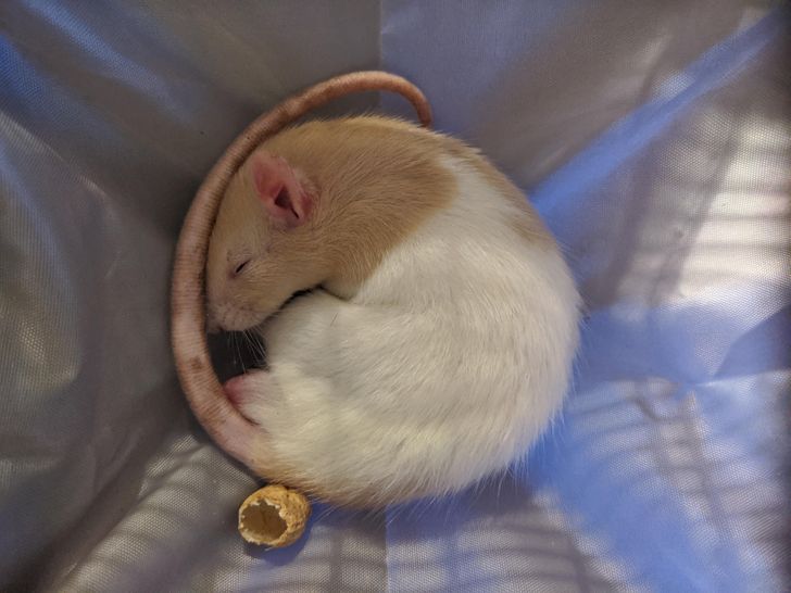 8247615d4b9ed5696ff187ba22