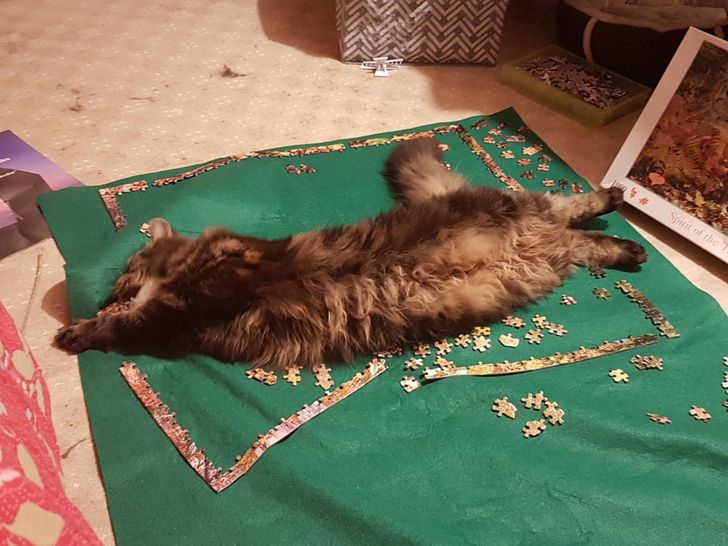 8249815822bf4466121a5dd2ac