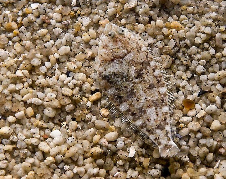 824a0b51818b33fa09ab2069c2