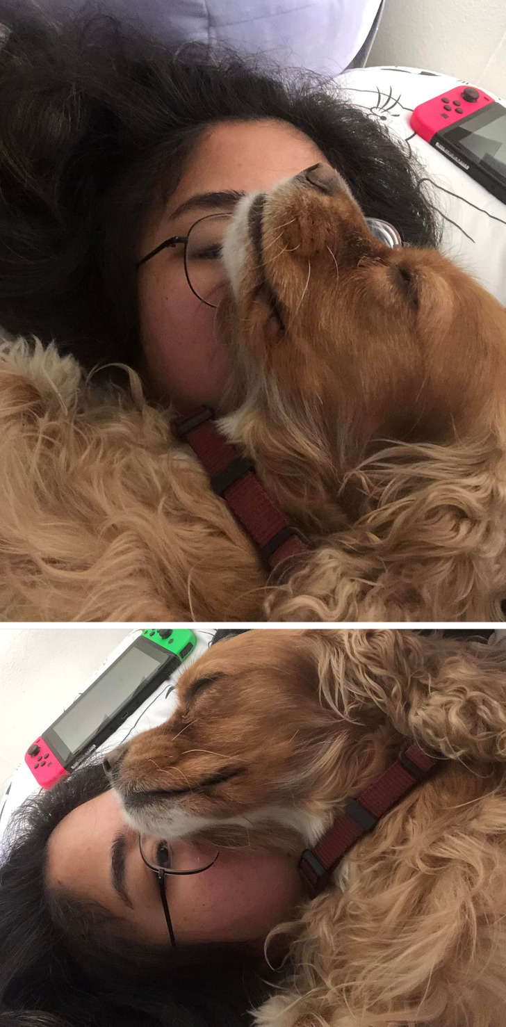 824c3552c8883d0f282b698437