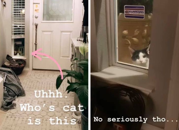 825bb9524eb7126de9777e60b5