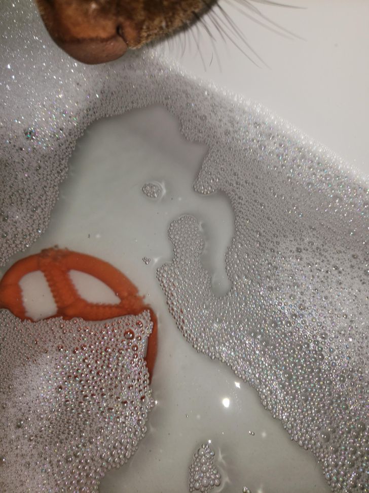 82652f5eb6a97ba48d3ac7b452