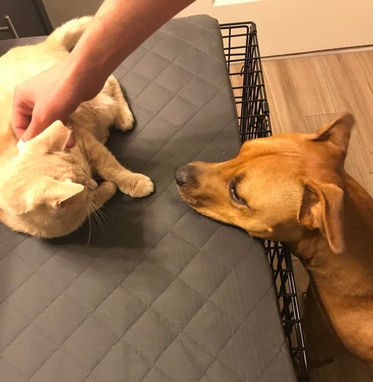 8266b15bb7a7cae02eead5a376