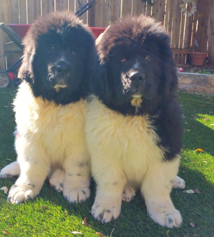 8269b55e7891cdc1c1b788da03