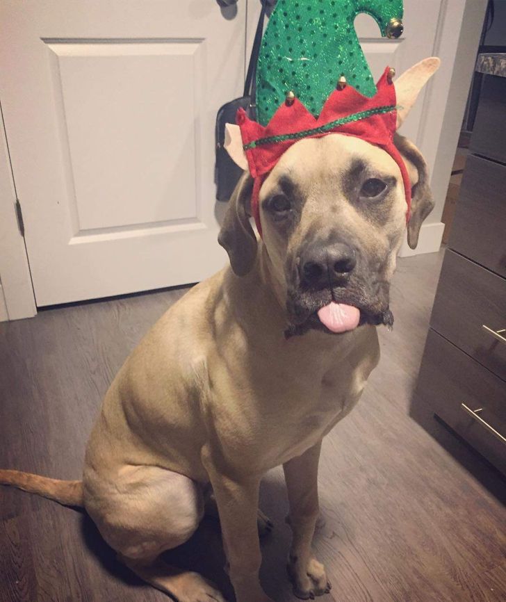 826c4954ad96fa994801e94953