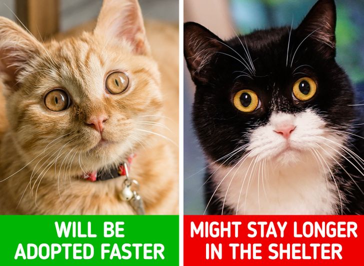 826d315434bac70748effbec5b