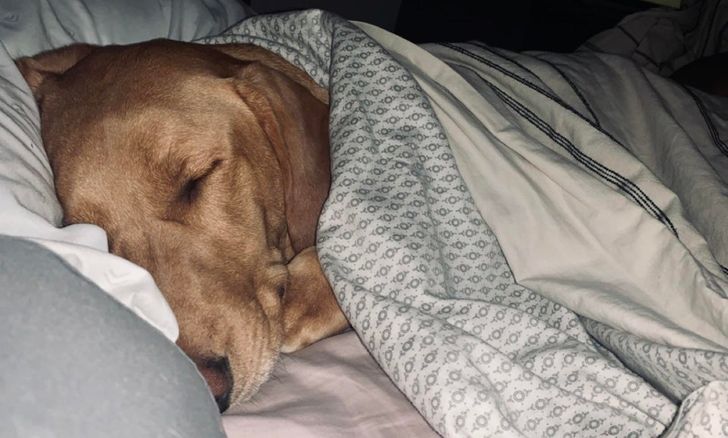 827c61530e9300ccd359eb3ac1