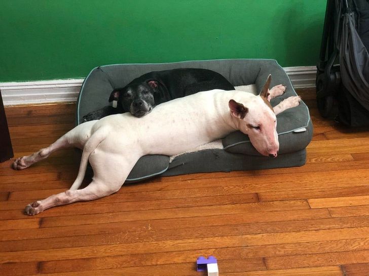 827c755d92bbd933fb8b43ea9e