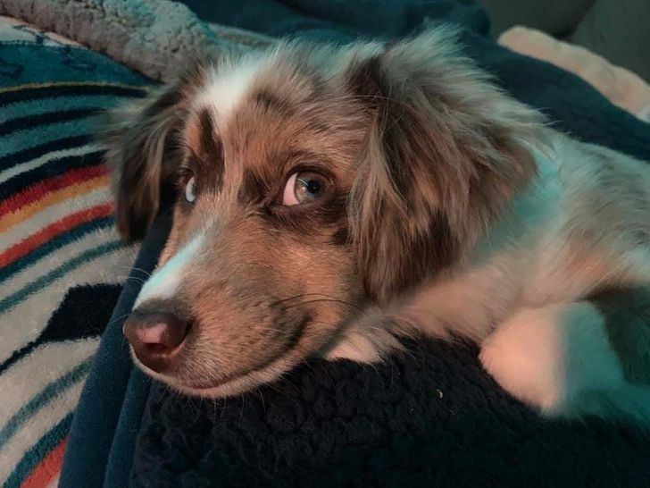 827d02559a949681c03c958b70