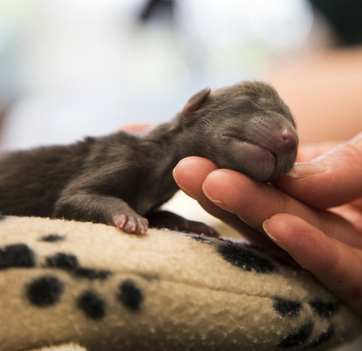 828f70504b9b65ac218f053515