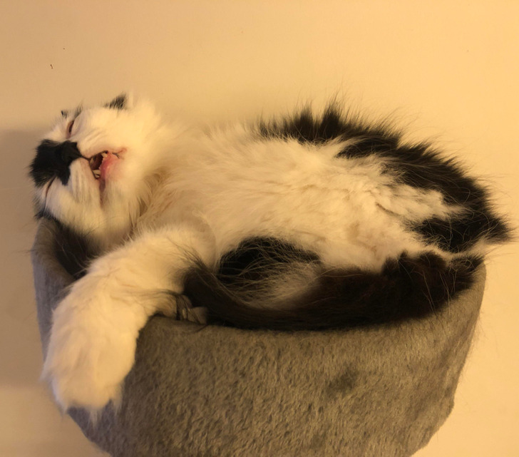 82964d5cf79e108dd6b748d81b