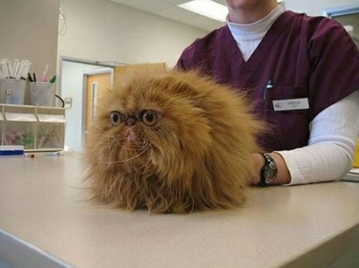 82a00f548eb500d62e0d8972f2