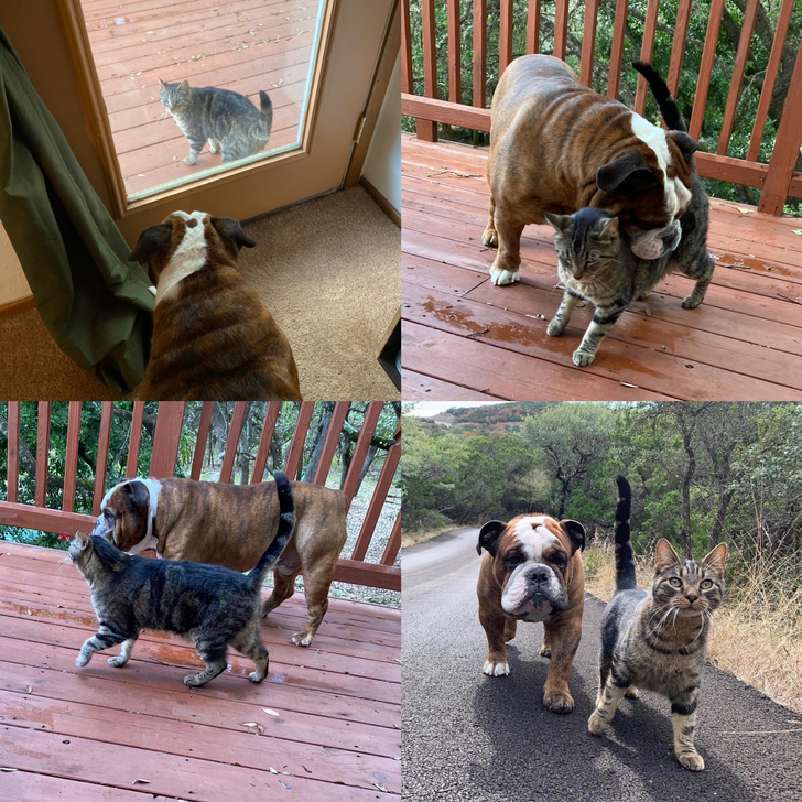 82a18a52769b4d6e08764f9d6b