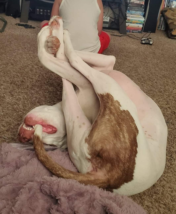 82a3a95e81aabf0e3563c4fed3