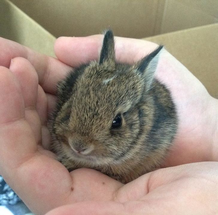 82a6b25357af88177a6308dd88