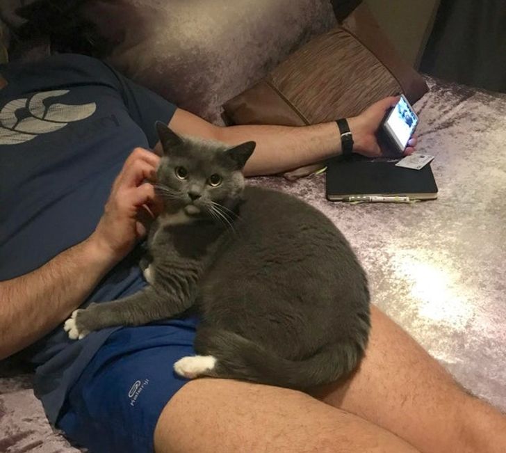 82a6e952e4824044ad14cf8ee8