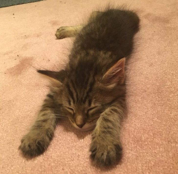 82aa985db5bc54ae548eb03a49