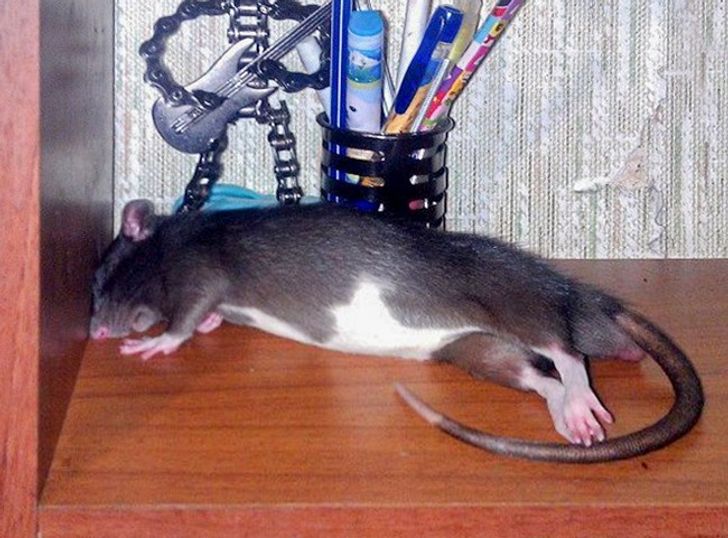 82b08d57f0869d7116bdd62067