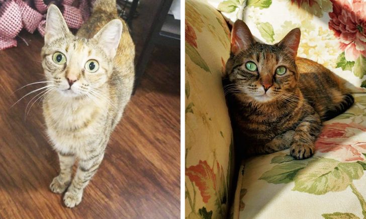 82b22c505a8fd31af4b7b96bf2