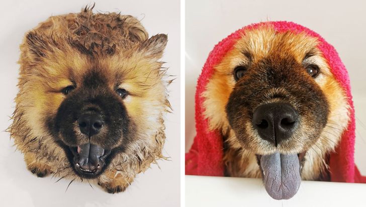 82b9f35ed7883a5de713c45473