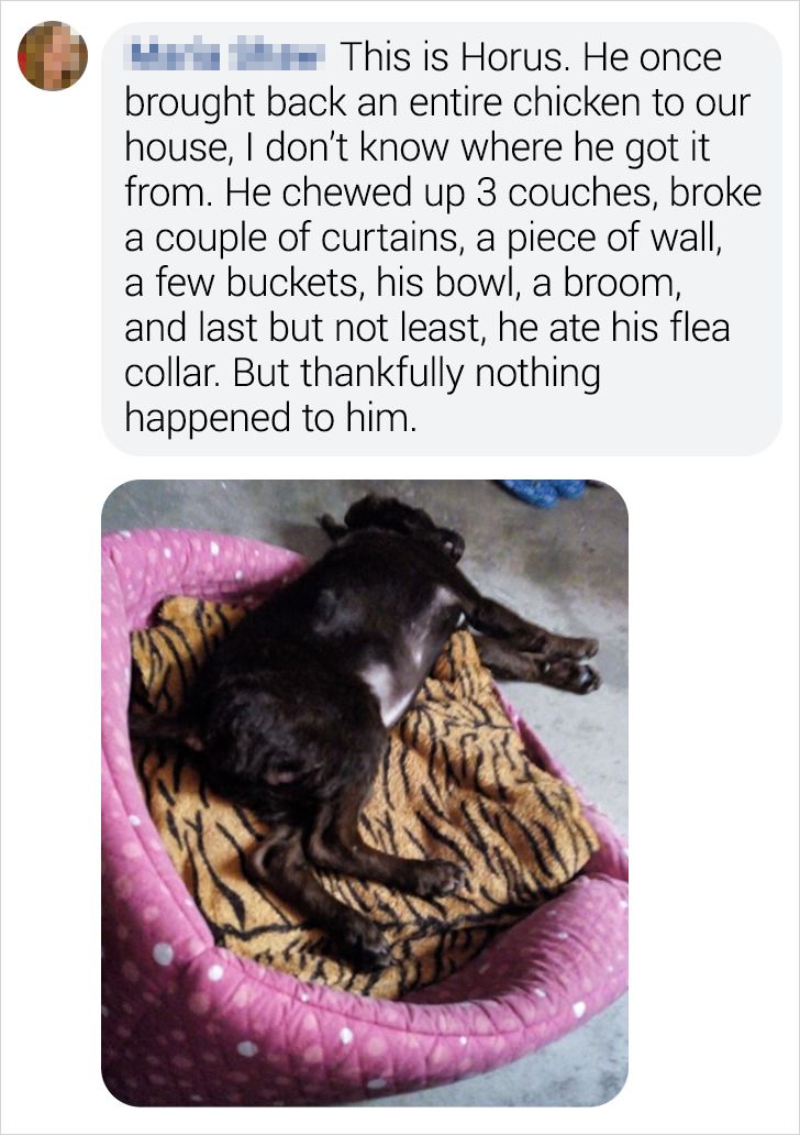 82be3f5861ba1187fb4f7f1494