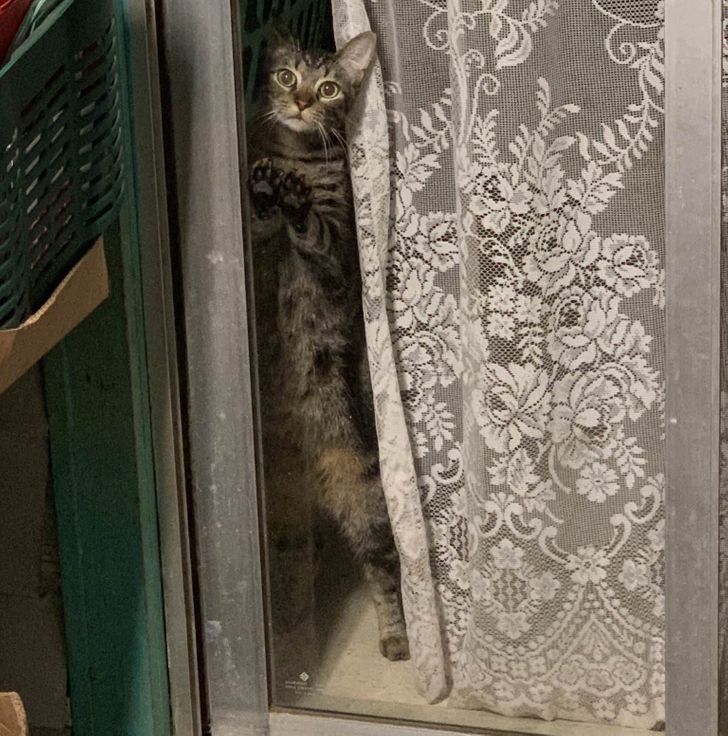 82bff15cf2bfd30703201dad41 82bff15cf2bfd30703201dad41