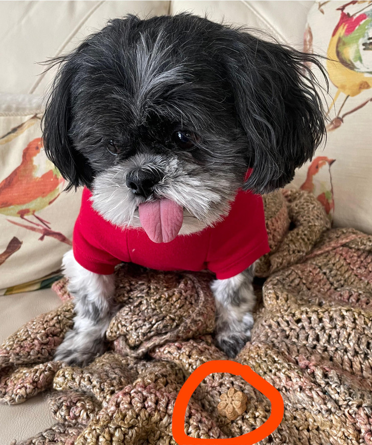 82d4cf5e5f94070d6c8d601e79 82d4cf5e5f94070d6c8d601e79