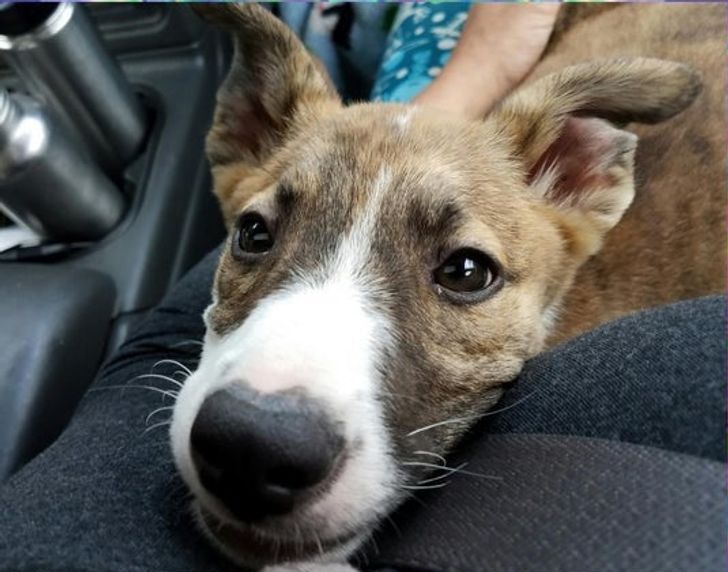 82daa55ec6b863096161432df8