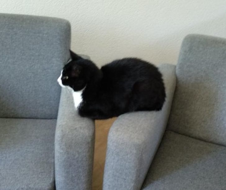 82db825ff8a6a2d9ebe41971fe