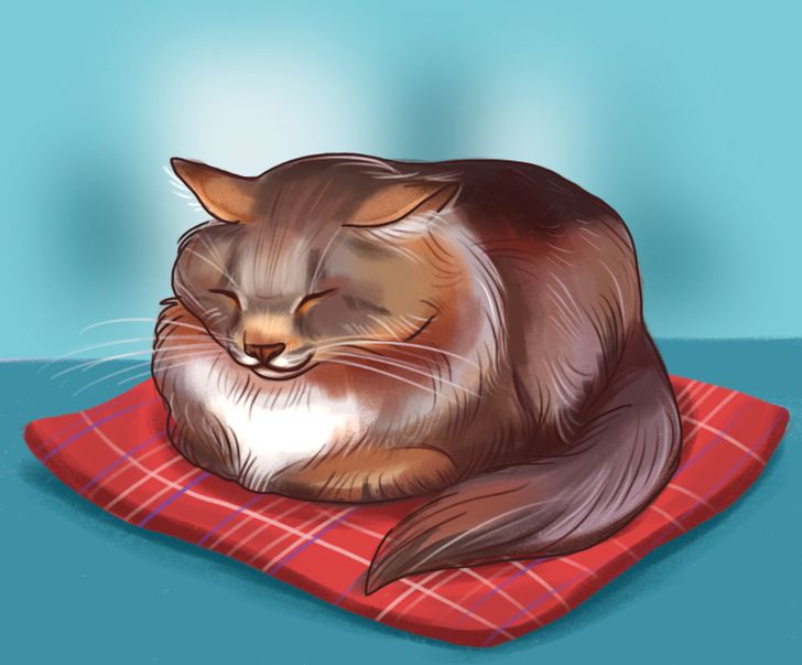 82e4e65650971509a170bf21a1