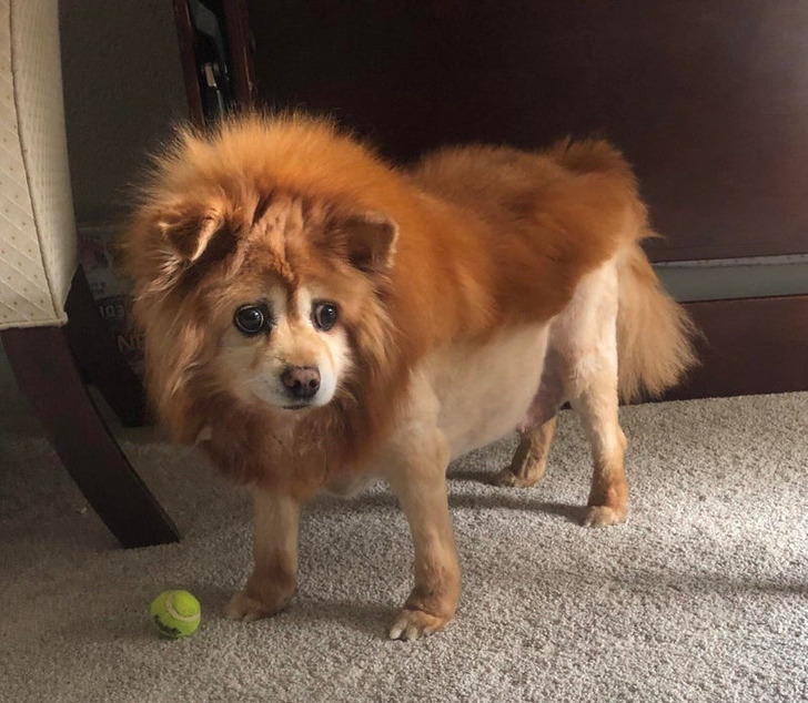 82e744584e8aa577b3bd4f6f29