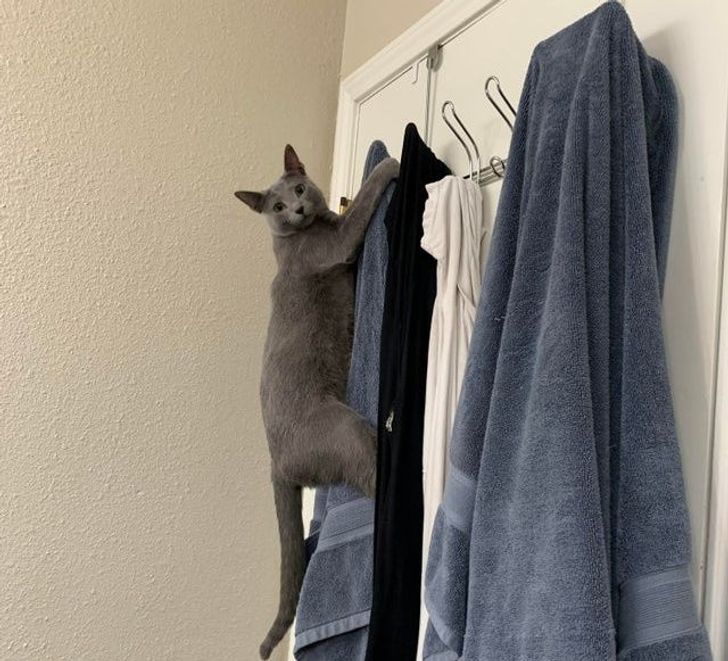 82e9fa5754be84a017e75ee2c9