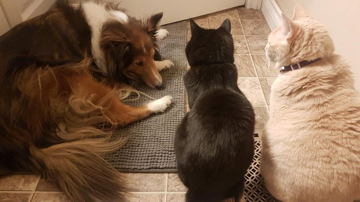 82eafa59b49f7832688575e59d