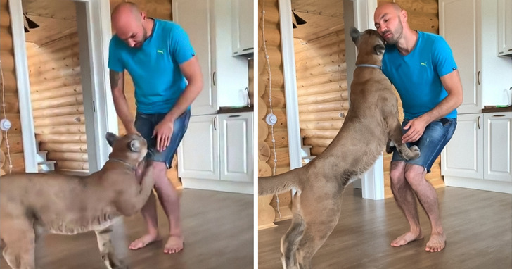 82f1a4594b98c4a2e33c019352