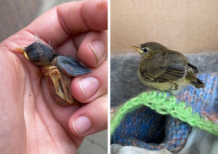 82f1c9513197fcab0dc43cd8d1