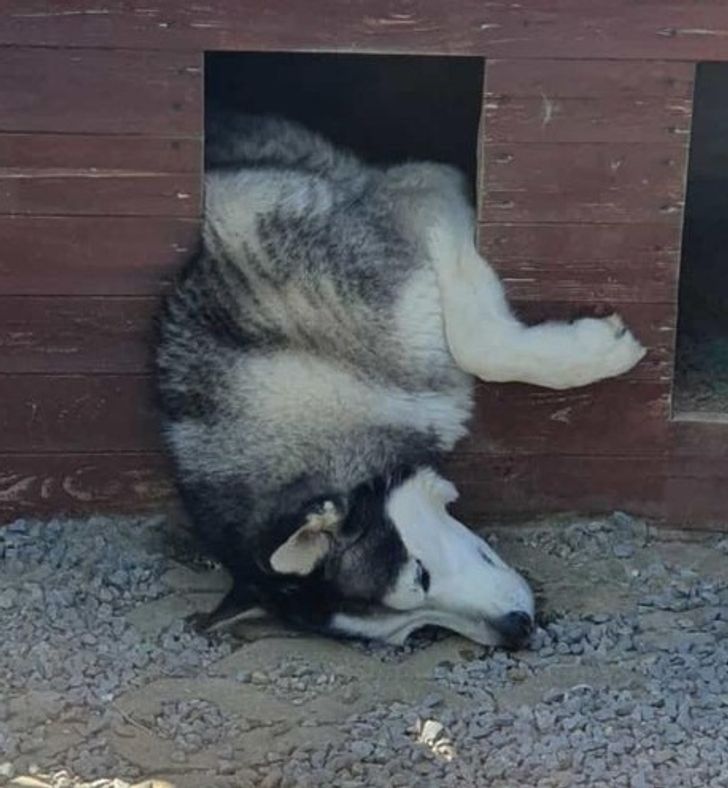 82fa6156f8a1b662c39596dd16