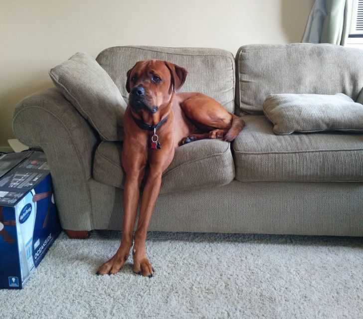 830fcb55e58e86d3d3411314e5