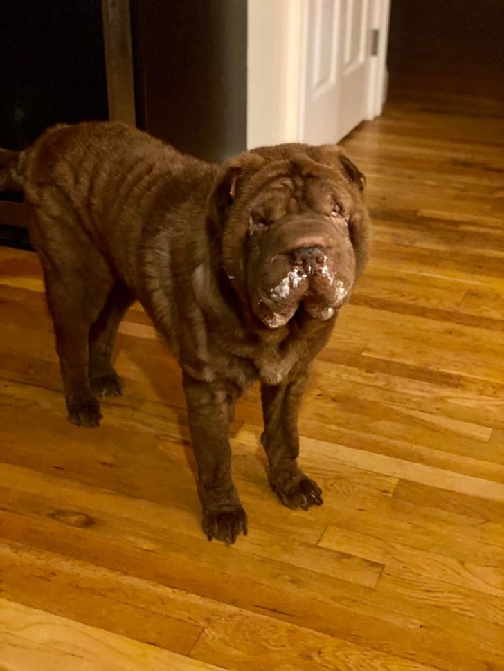 831211579993e9af2302e77998