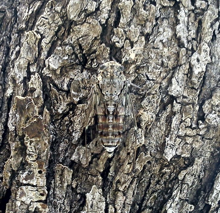 83134553669ce6b39a7fe666ae