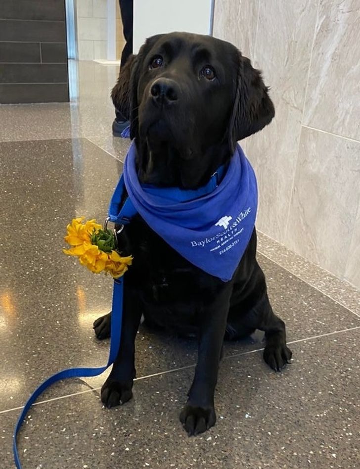 83164a5891af2f49b13a0eba73