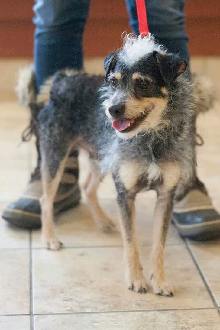 831c5d5a63ae894907aca62098